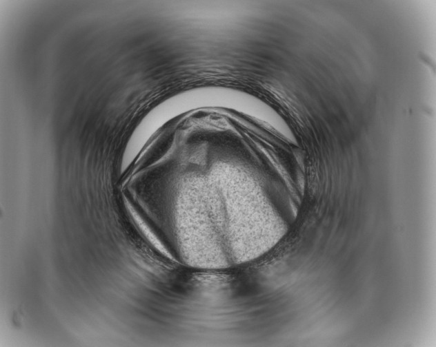 X0000096410221200802141548