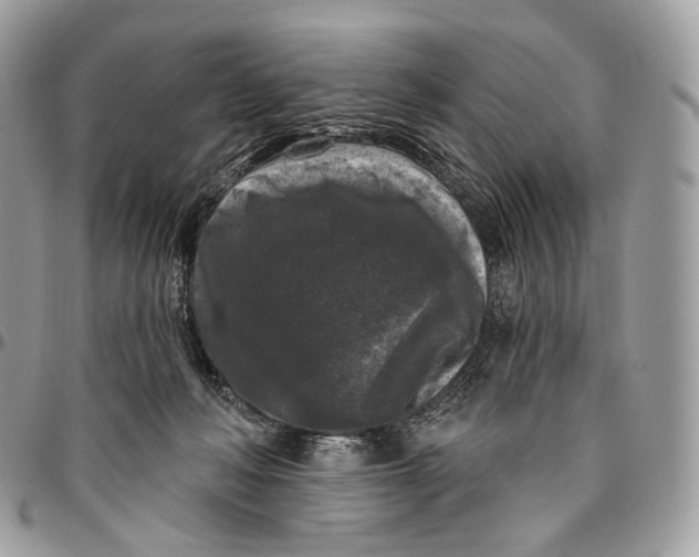 X0000096410222200802141548