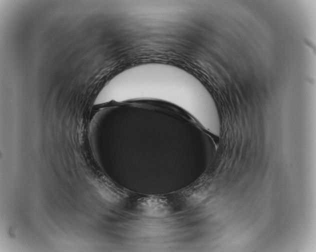 X0000096410223200802141548