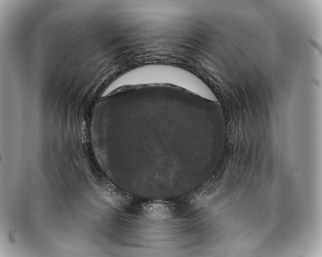 X0000096410224200802141548