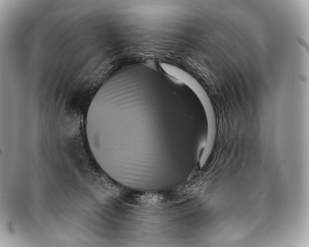 X0000096410225200802141548