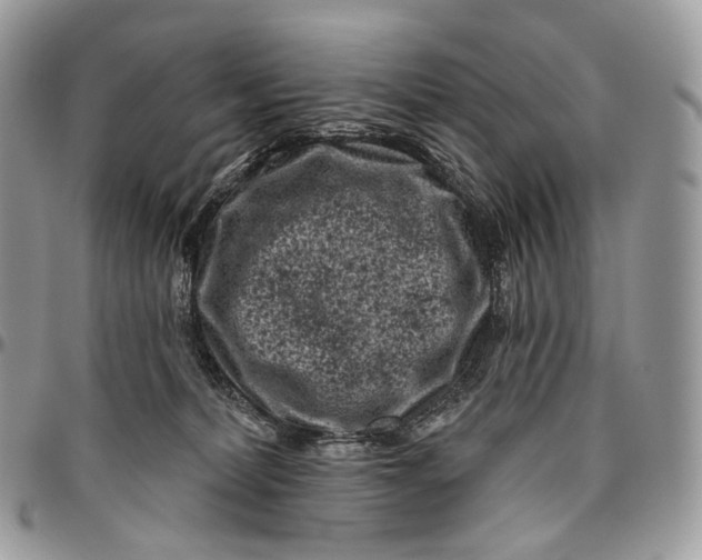 X0000096410228200802141548