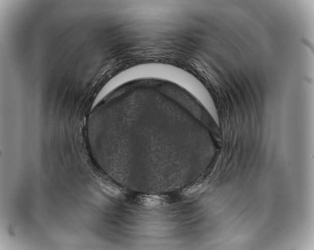 X0000096410229200802141548