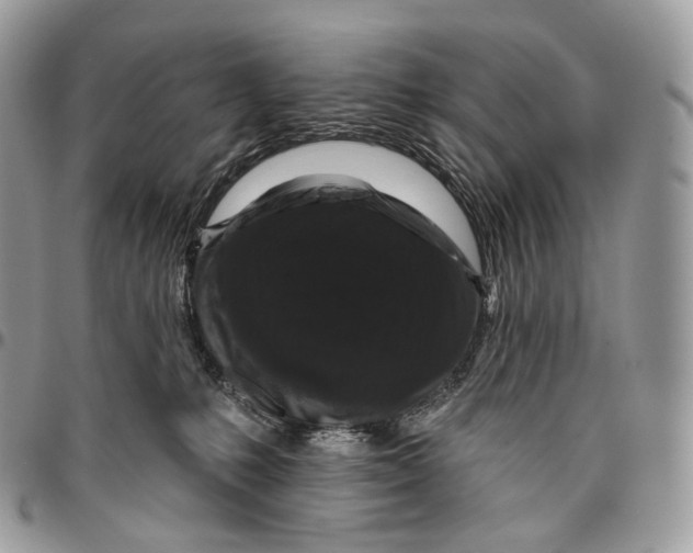 X0000096410231200802141548