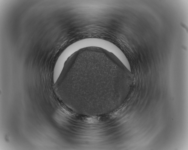 X0000096410232200802141548