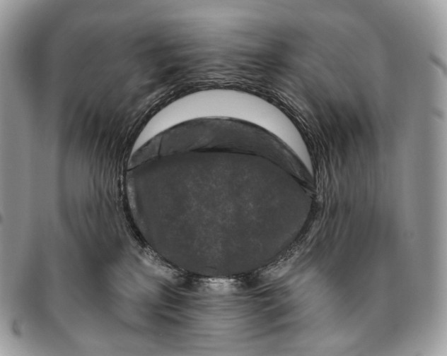 X0000096410233200802141548