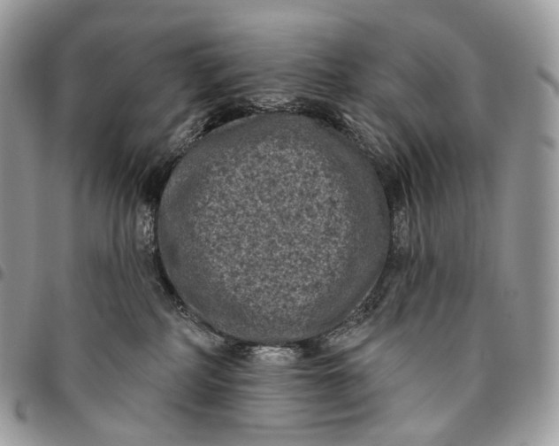 X0000096410234200802141548