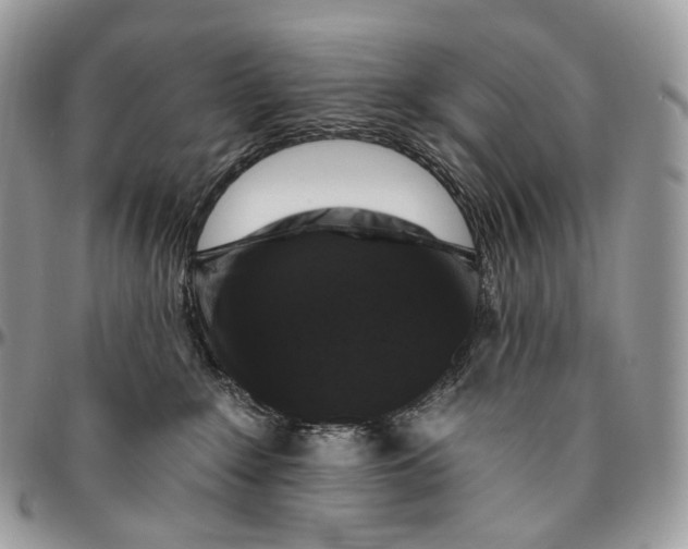 X0000096410235200802141548