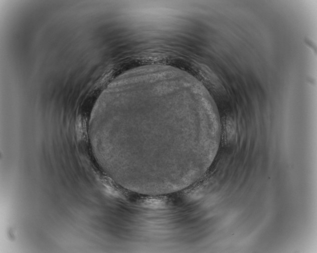 X0000096410236200802141548