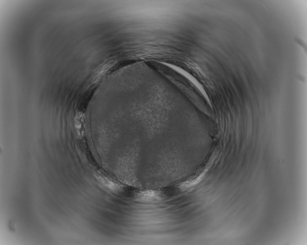 X0000096410237200802141548