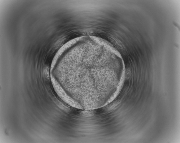 X0000096410238200802141548