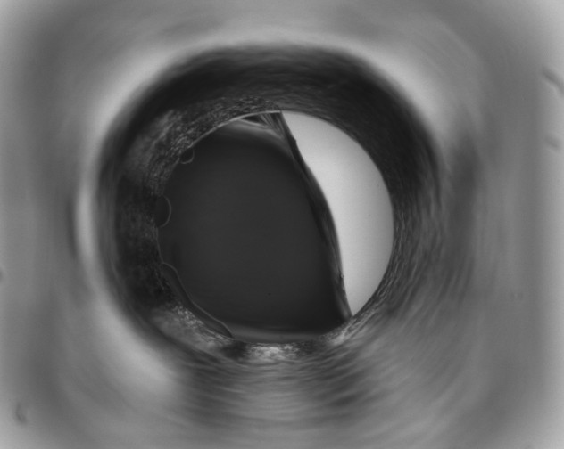 X0000096410239200802141548