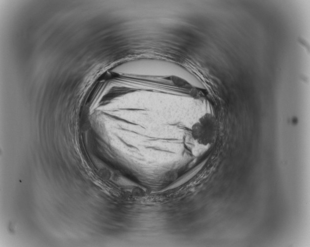 X0000096410241200802141547