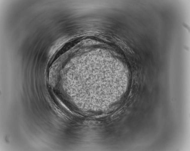 X0000096410242200802141547