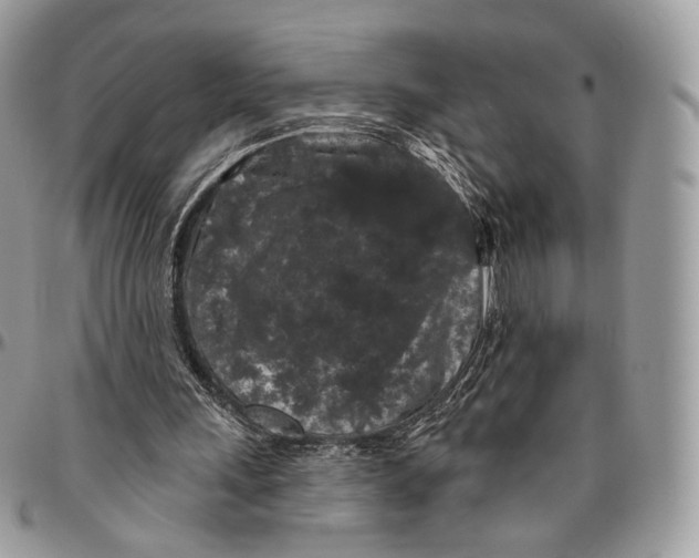 X0000096410243200802141547