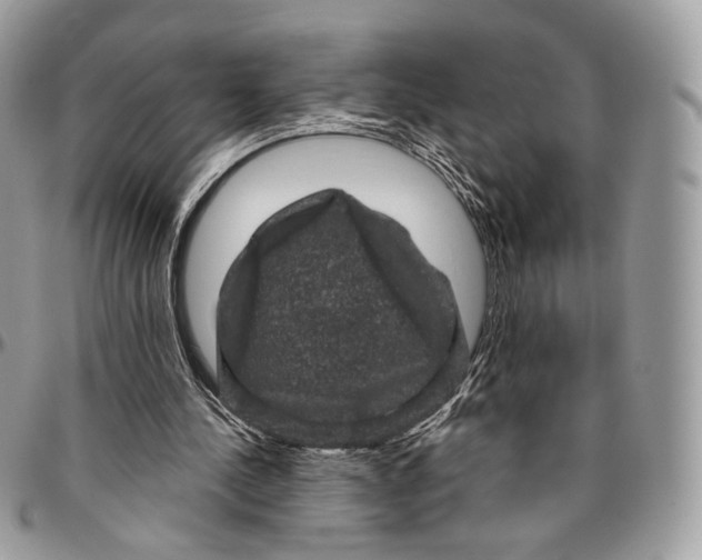 X0000096410244200802141547