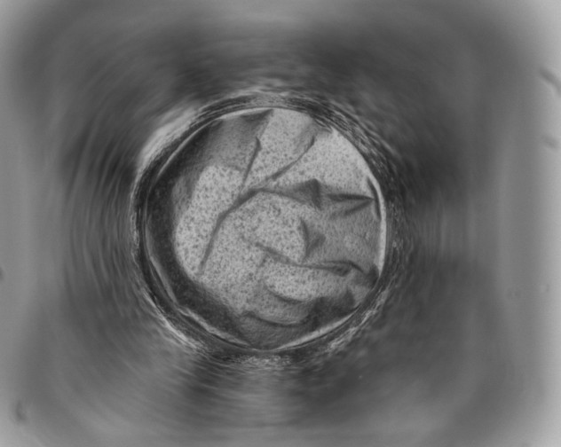 X0000096410245200802141547