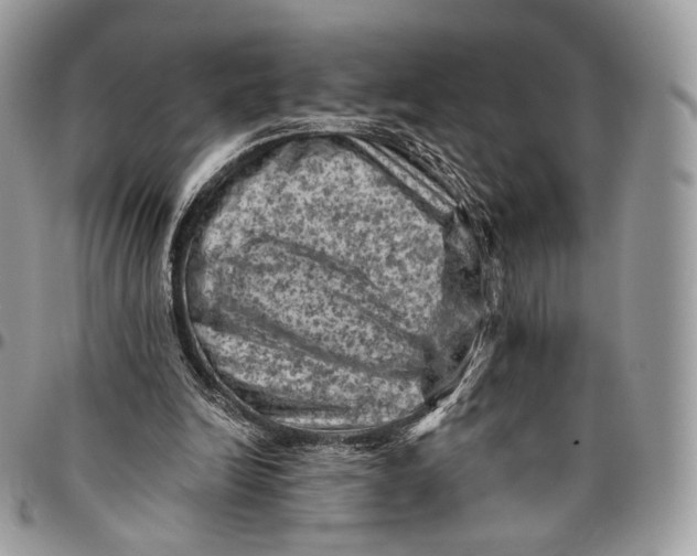 X0000096410246200802141547