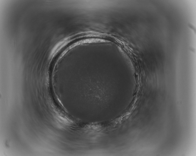 X0000096410247200802141547