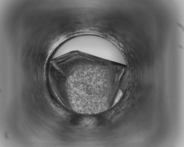 X0000096410248200802141547