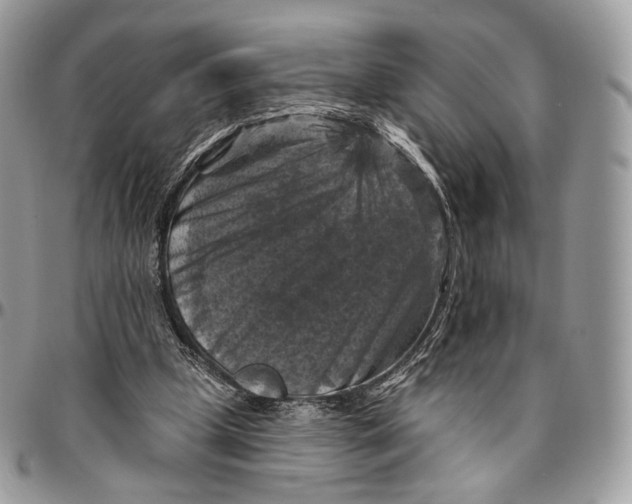 X0000096410249200802141547