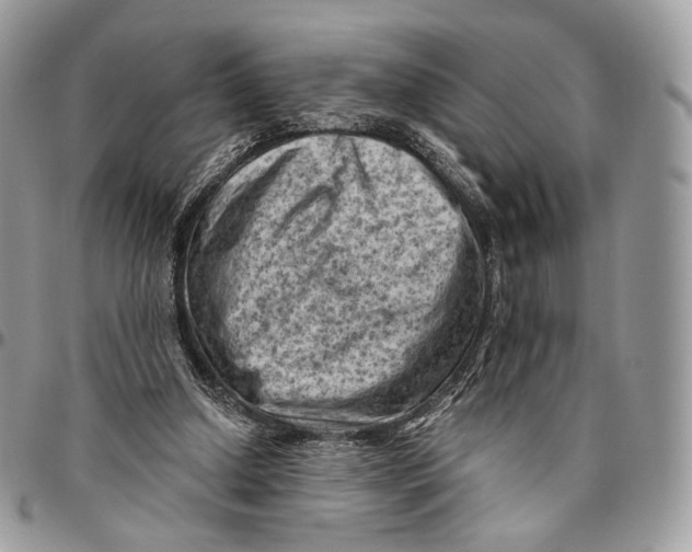 X0000096410250200802141547