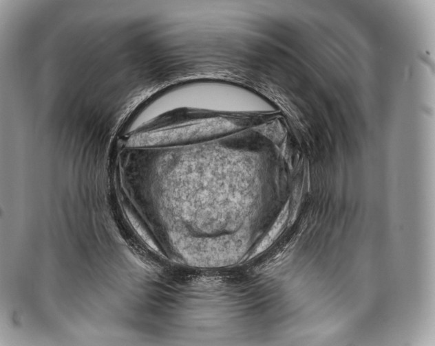 X0000096410252200802141547