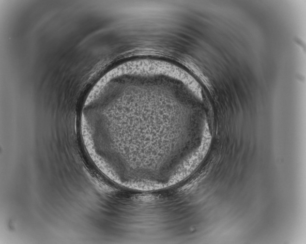 X0000096410253200802141547