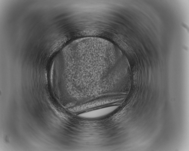 X0000096410254200802141547