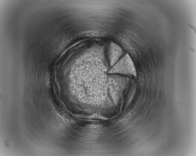 X0000096410255200802141547