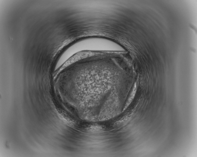 X0000096410256200802141547