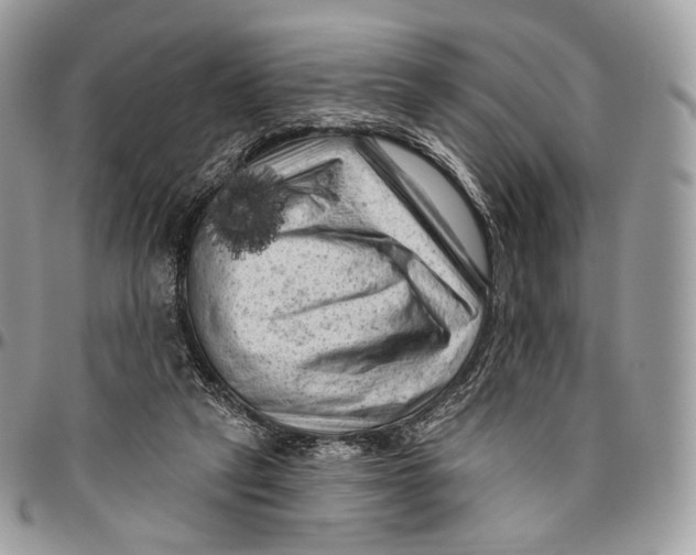 X0000096410257200802141547