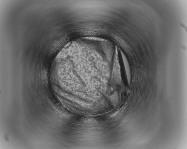 X0000096410258200802141547