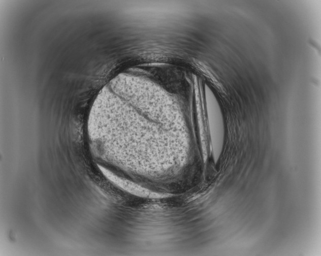 X0000096410259200802141547