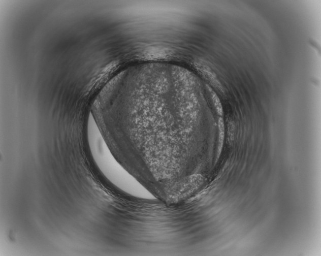 X0000096410260200802141547