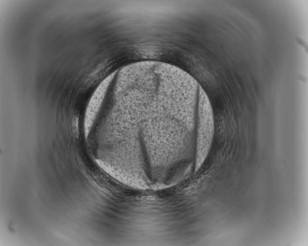 X0000096410262200802141547