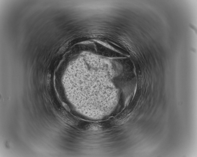 X0000096410263200802141547