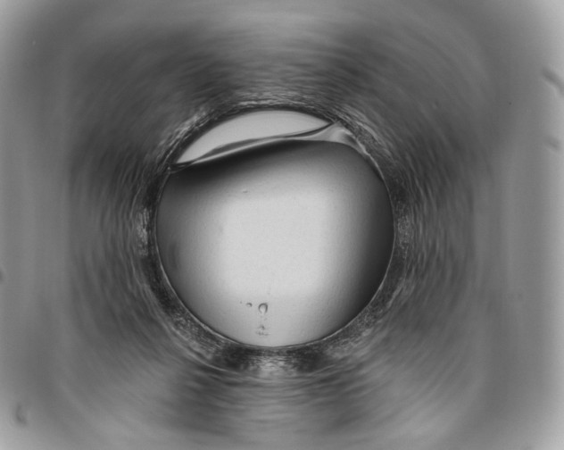 X0000096410264200802141547