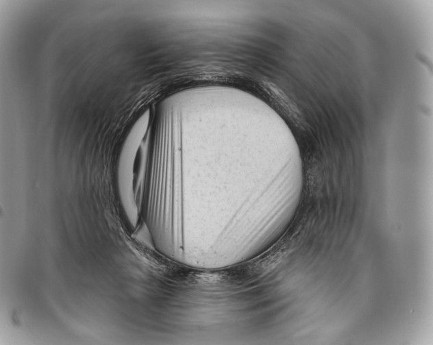 X0000096410265200802141547