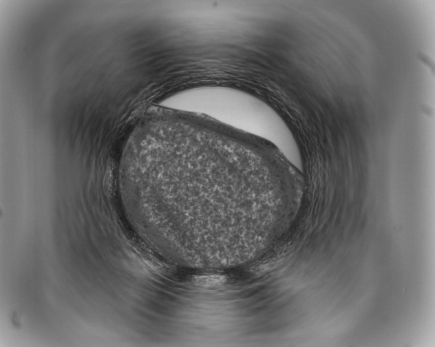 X0000096410266200802141547