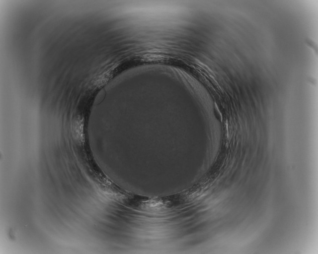 X0000096410267200802141547