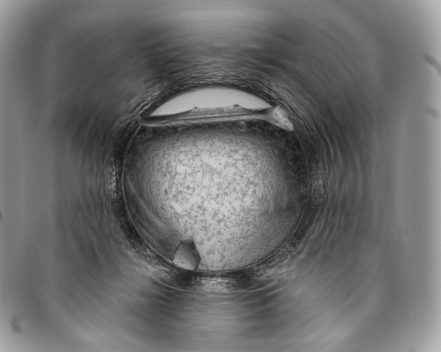 X0000096410268200802141547