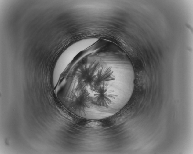 X0000096410269200802141547