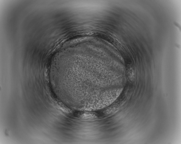 X0000096410270200802141547