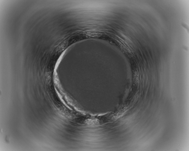 X0000096410271200802141547