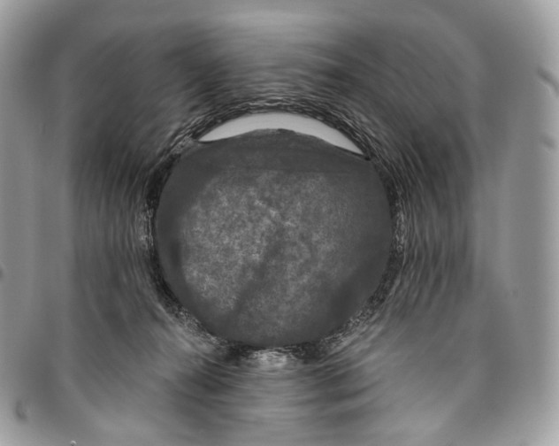 X0000096410272200802141547