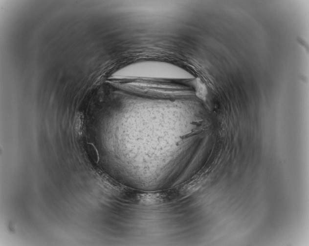 X0000096410273200802141547