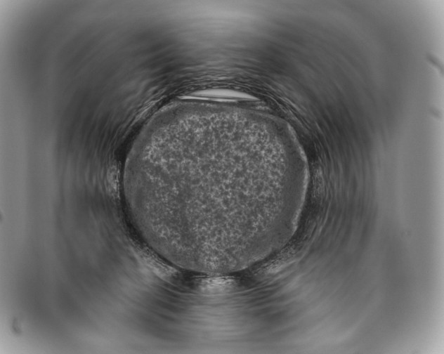 X0000096410274200802141547