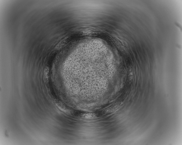 X0000096410275200802141547