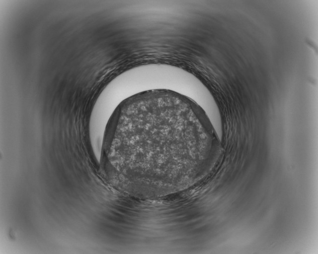 X0000096410276200802141547